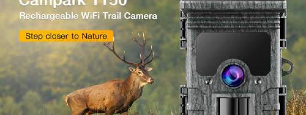 Factors That Affect Trail Camera's Longevity
