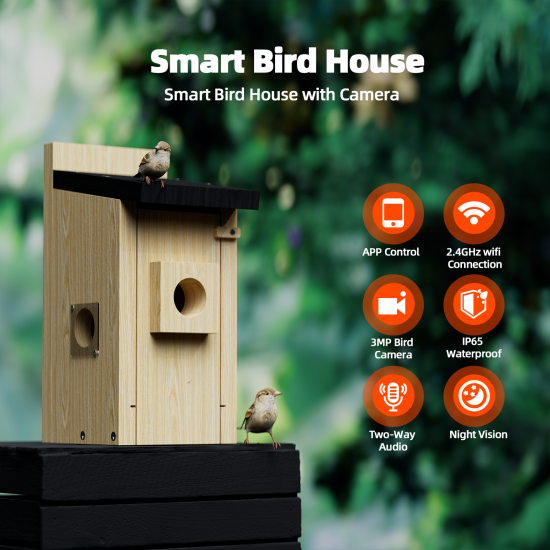 Campark BH10 3MP Smart Wooden Bird House with Camera Two-way Audio Night Vision and Waterproof (Only available in the US)