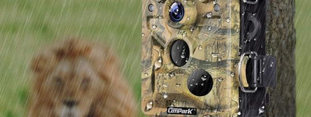 Campark T80 WiFi Trail Camera Customer Questions & Answers - Campark - Focus on Cameras