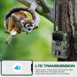 Campark TC14 24MP 1080P 4G LTE Wireless Cellular Trail Camera With Sim Card (Only Available In The US) Campark TC14 24MP 1080P 4G LTE Wireless Cellular Trail Camera With Sim Card (Only Available In The US)